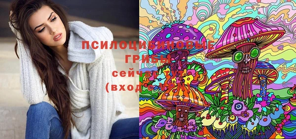 ECSTASY Заволжье