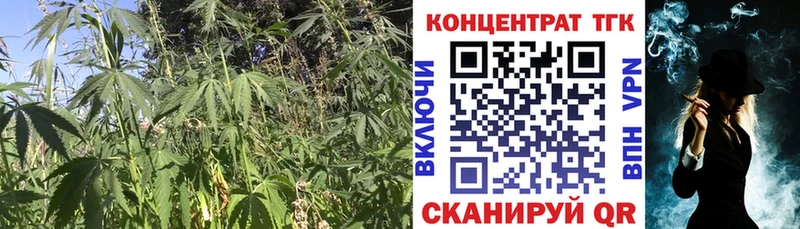 Дистиллят ТГК жижа  Купить где  Зарайск 