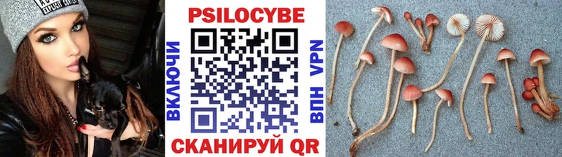 Купить где  Зарайск  Галлюциногенные грибы мицелий 