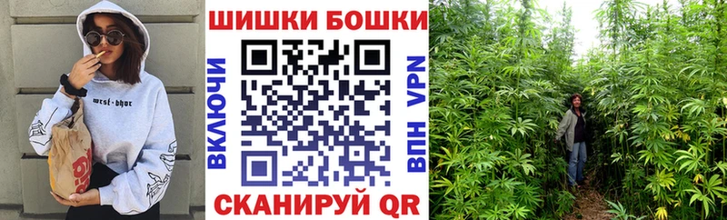 Купить где  Зарайск  Каннабис SATIVA & INDICA 